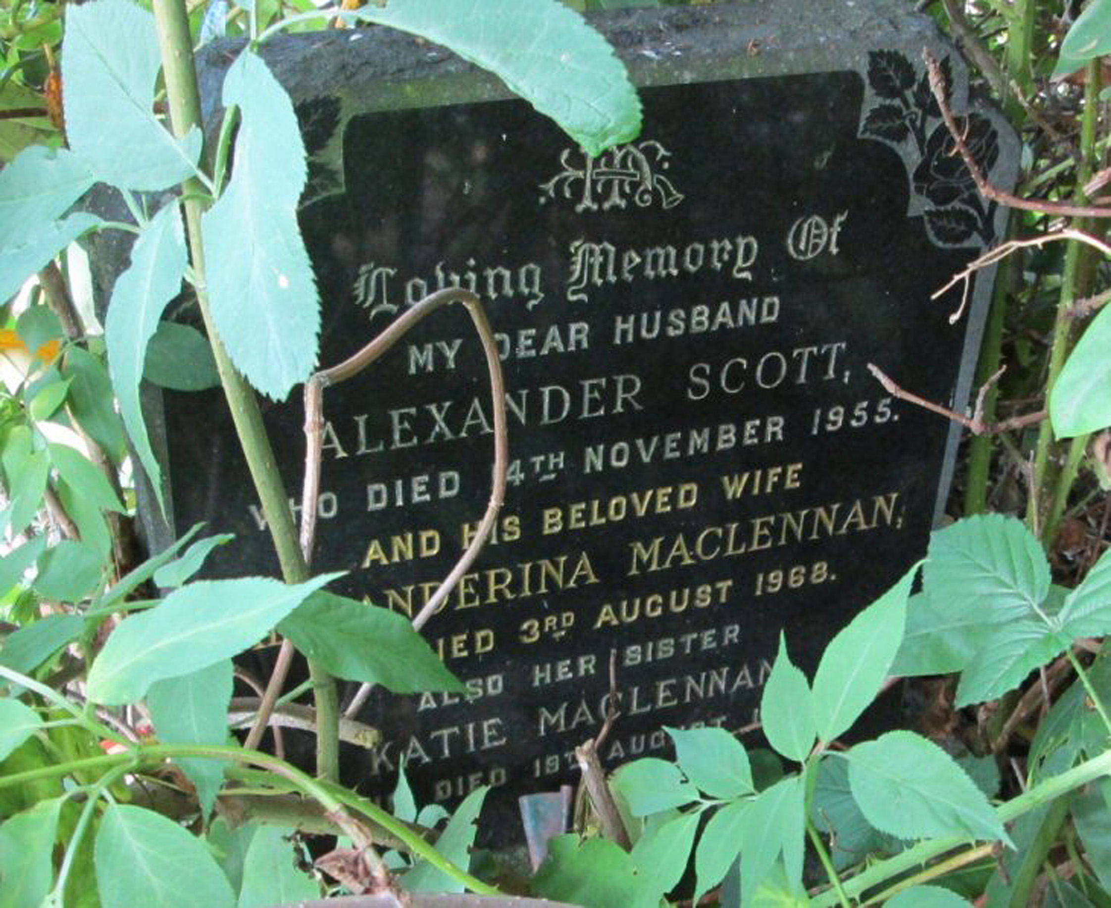 Photo of headstones/Alexanderina MacLennan died 1941 MI Tain St Duthus